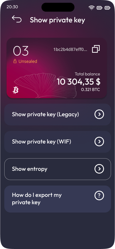 Satodime mobile app - The private information of a Bitcoin vault.