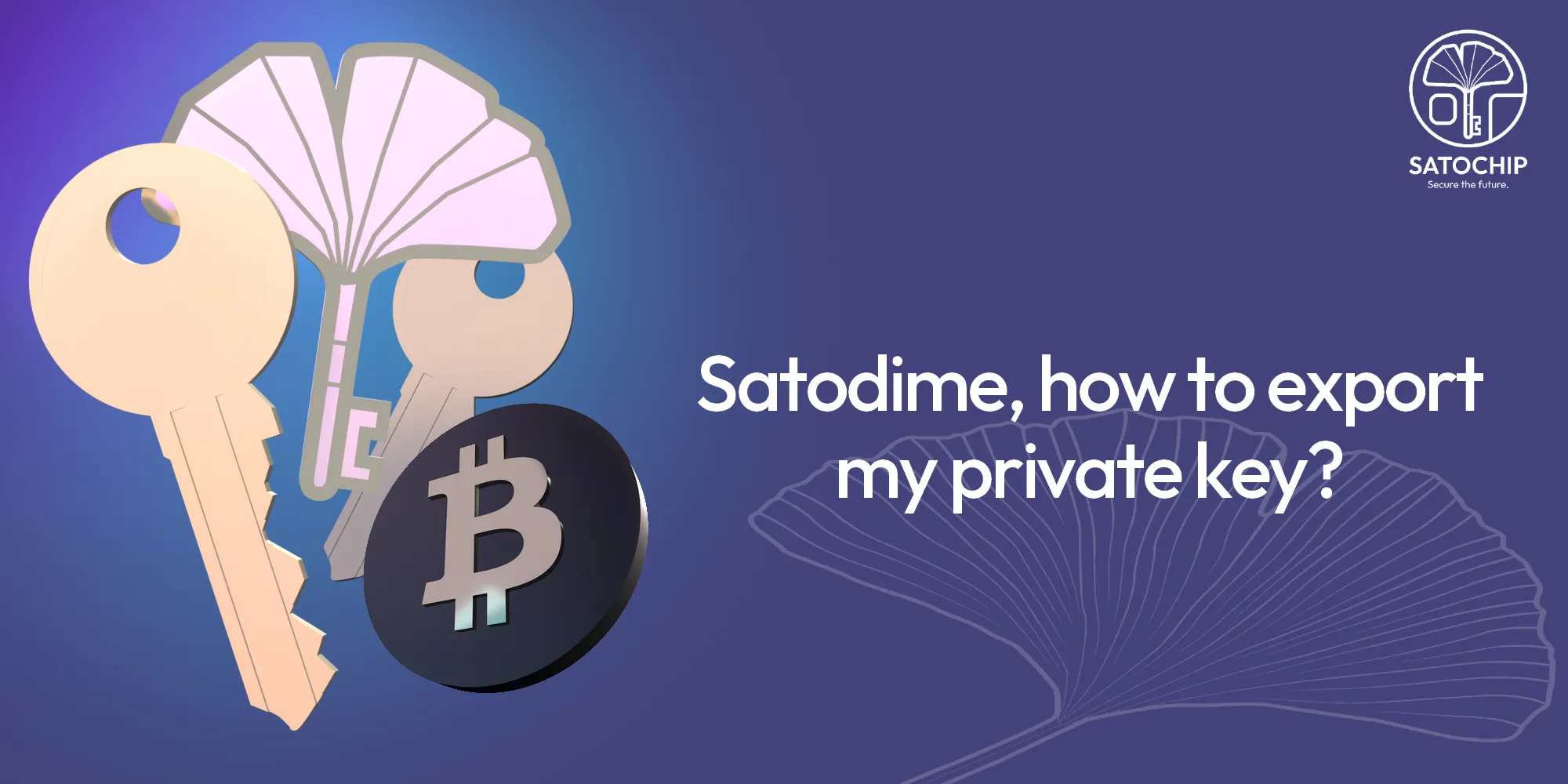 Satodime, how to export the private key