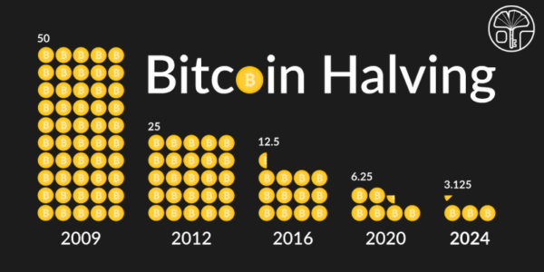 Bitcoin Halving — What You Need To Know Satochip